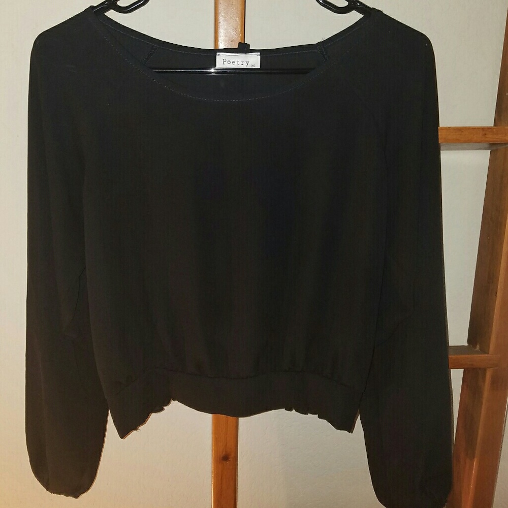 Anthropologie Poetry Long Sleeve Sheer Top